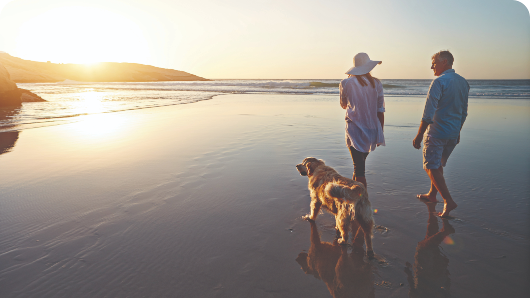 Couple and dog walking on a beach