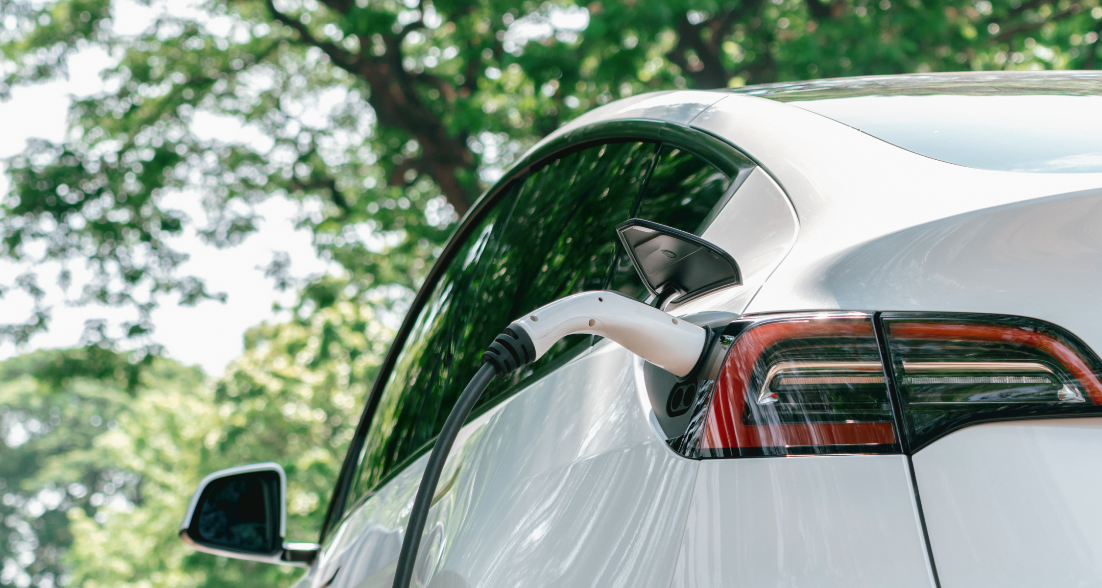 Closeup of Tesla Y on charge